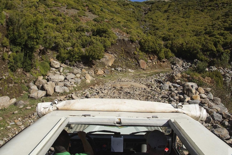 Madeira occidental: tour de día completo en jeep safariTour privado