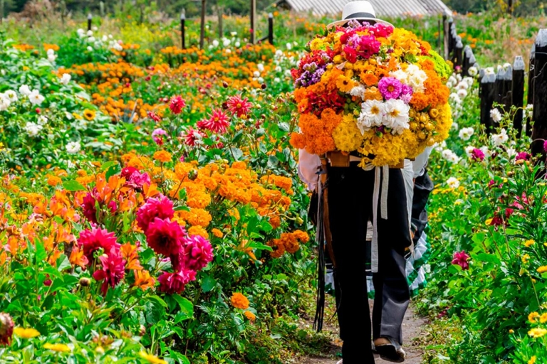 Medellín: Blumenfarm & Silletero Geschichte Tour
