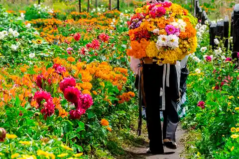Medellín: Flower Farm & Silletero History Tour