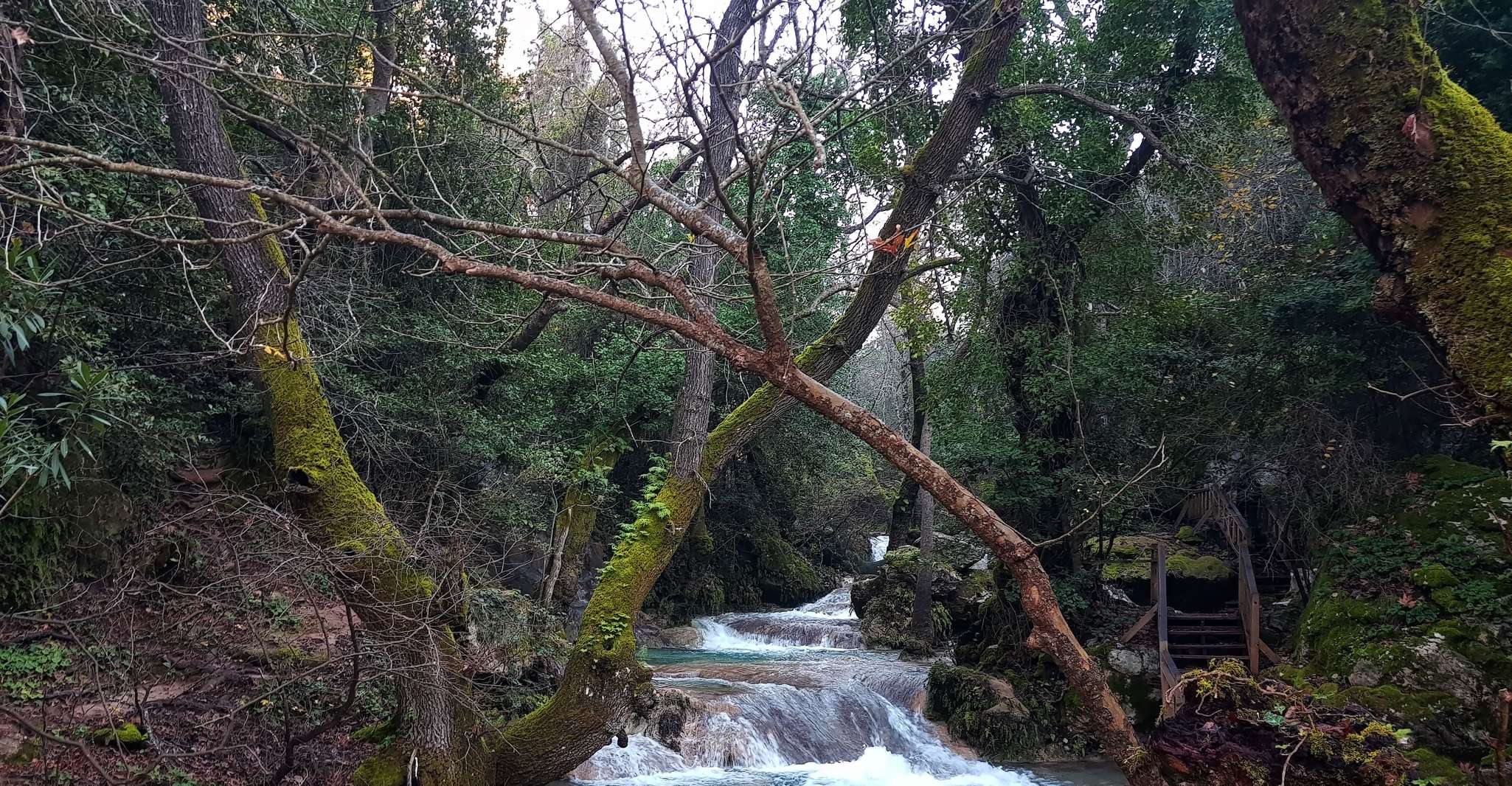 Marmaris Jeep Safari, ganztägige Führung mit Mittagessen - Hizvo