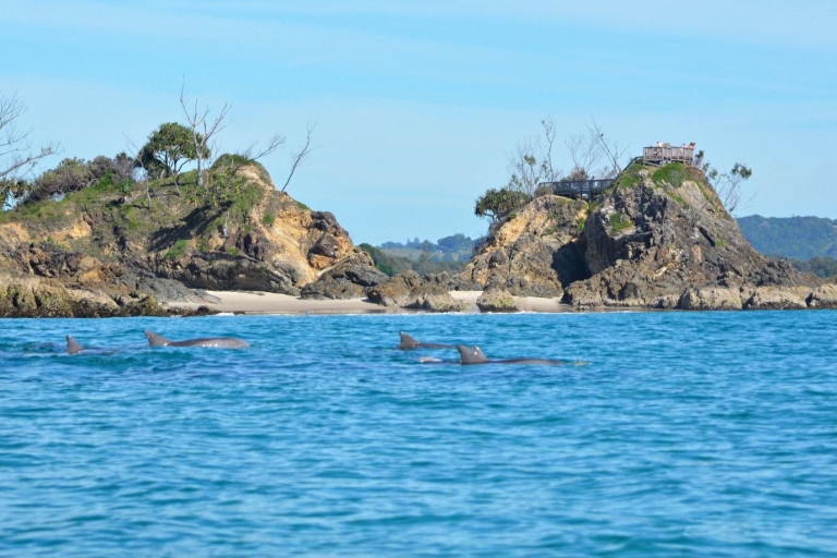 Byron Bay: zeekajaktocht met dolfijnen en schildpadden