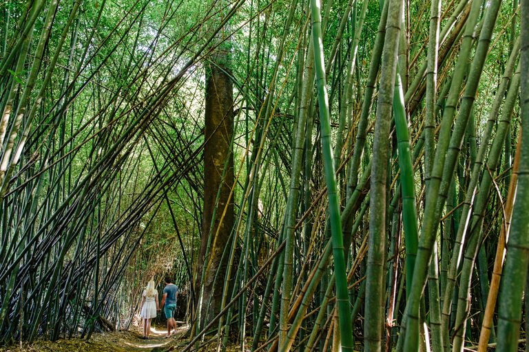 Cairns: Paronella, Lake Barrine &amp; Millaa Millaa Falls Tour