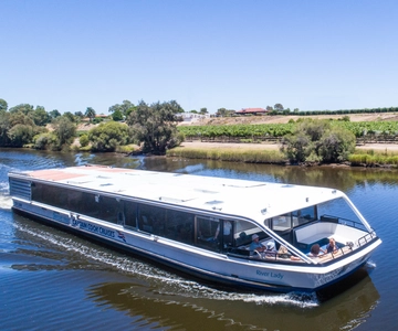 From Perth: Swan Valley Cruise, Winery, Cheese & Lunch