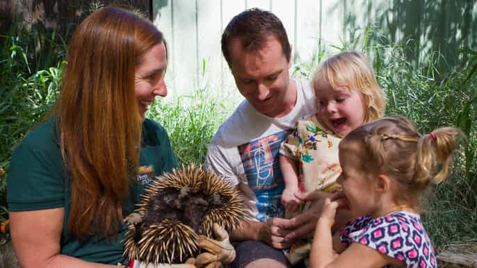 perth sightseeing cruise and perth zoo general entry ticket