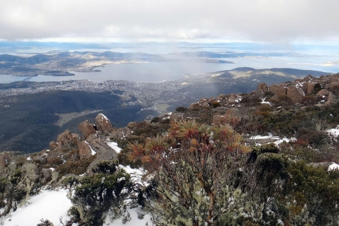 Autobusy Kunanyi i Mt Wellington Explorer: Przejazd w jedną stronę