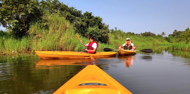 Visit Goa Backwaters and Mangrove Kayaking Experience in Colva, Goa, India