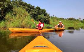 Goa: Backwaters and Mangrove Kayaking Experience