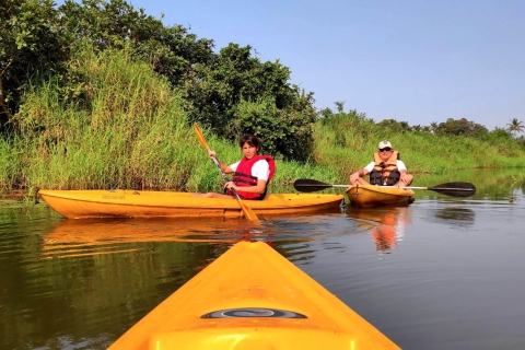 Goa: Backwaters and Mangrove Kayaking Experience 1.5 hrs Kayaking Experience