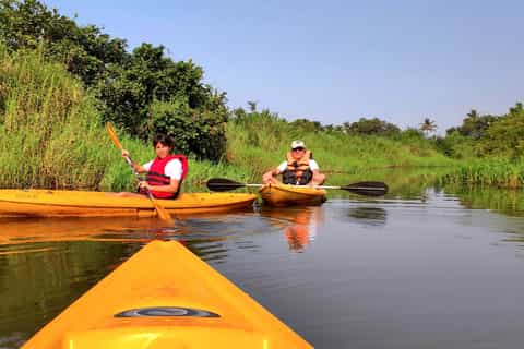 Goa: Backwaters and Mangrove Kayaking Experience