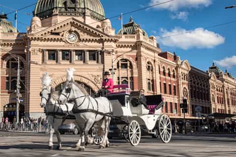 Melbourne: City and Garden Tour in Horse-Drawn Carriage