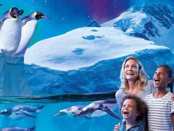 SEA LIFE Paris: Eintrittskarte SEA LIFE Paris: Eintrittskarte