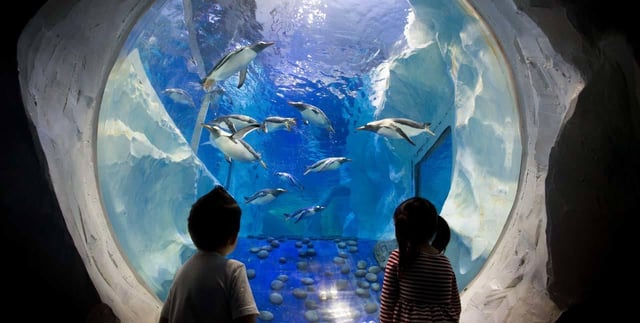 SEA LIFE Paris: Admission Ticket
