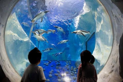 Paris : billet d'entrée à l'aquarium SEA LIFE