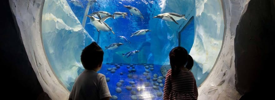 SEA LIFE Paris : Billet d'entrée