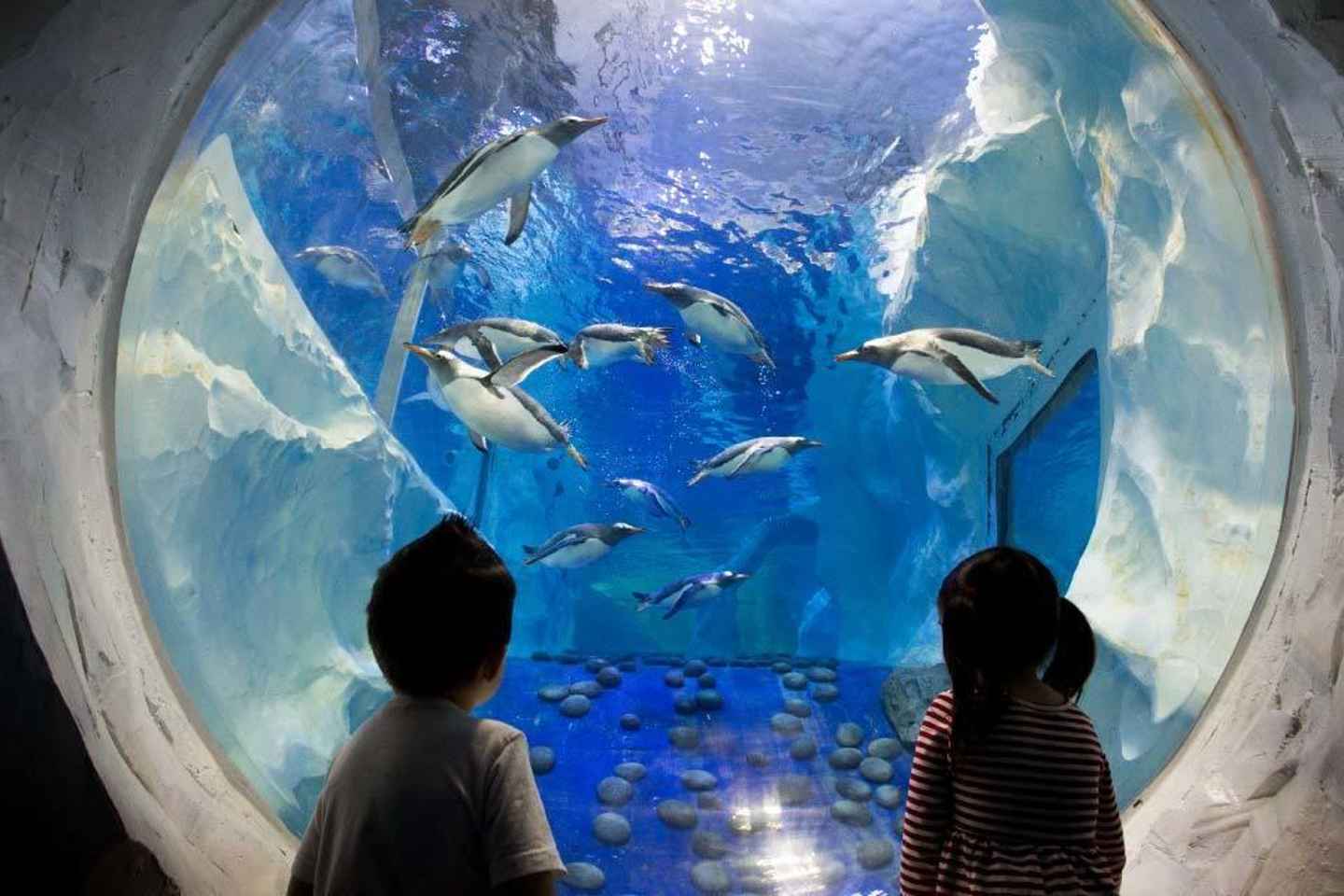 SEA LIFE Paris: Admission Ticket