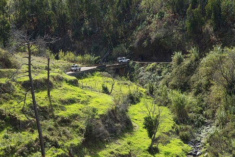 Madeira: Das Beste aus dem Süden Jeep-TourTour Abholung Madeira