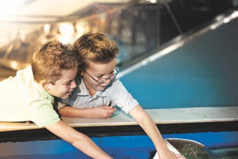 Tampa: The Florida Aquarium Skip-the-Line Entrance