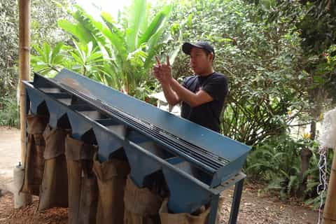 from guatemala city farms of antigua private tour