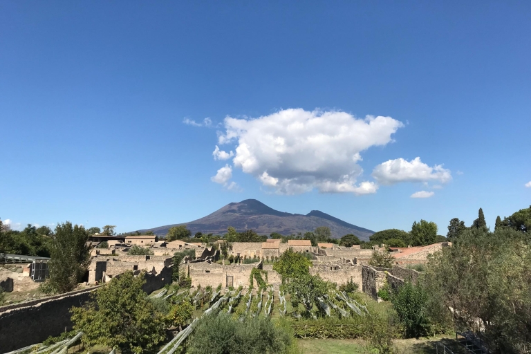Pompeii: VIP Tour with an Archaeologist plus Entry Tickets Public Tour in English