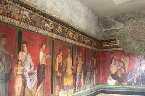 Pompeii: VIP Tour with an Archaeologist plus Entry Tickets Public Tour in English