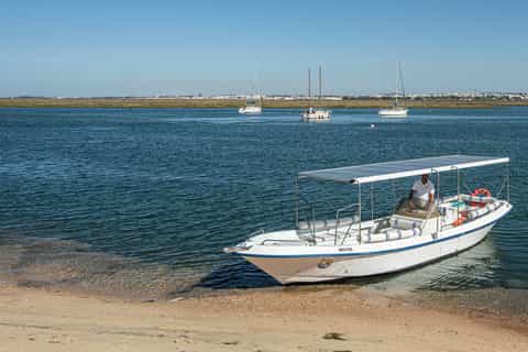 Faro: 2.5-Hour Eco-Friendly Ria Formosa Bird Watching