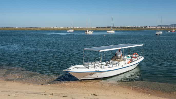 faro observação de pássaros ria formosa ecofriendly de 25 horas