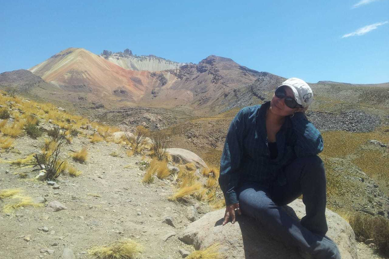 Sajama National Park From La Paz