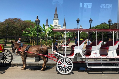 New Orleans: 2,5-stündige Stadt- und Friedhofstour mit dem BusNew Orleans: 2,5-stündige Stadtrundfahrt mit dem Bus