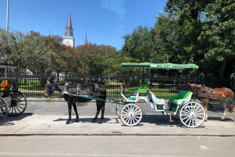 New Orleans: stads- en begraafplaatstour van 2,5 uur met de busNew Orleans: 2,5 uur stadsrondrit per bus