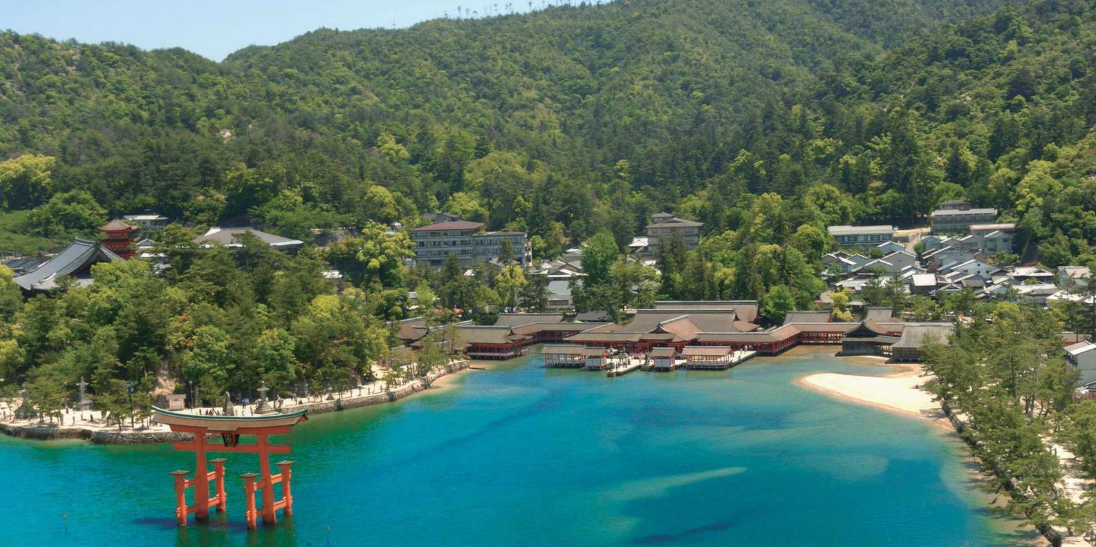 Hiroshima Miyajima tour — Peace Memorial and Miyajima Island — image 57