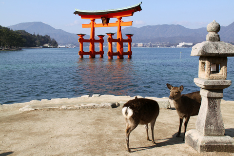 Hiroszima i Miyajima UNESCO - 1-dniowa wycieczka autobusowaZ dworca JR Hiroshima (bez lunchu)