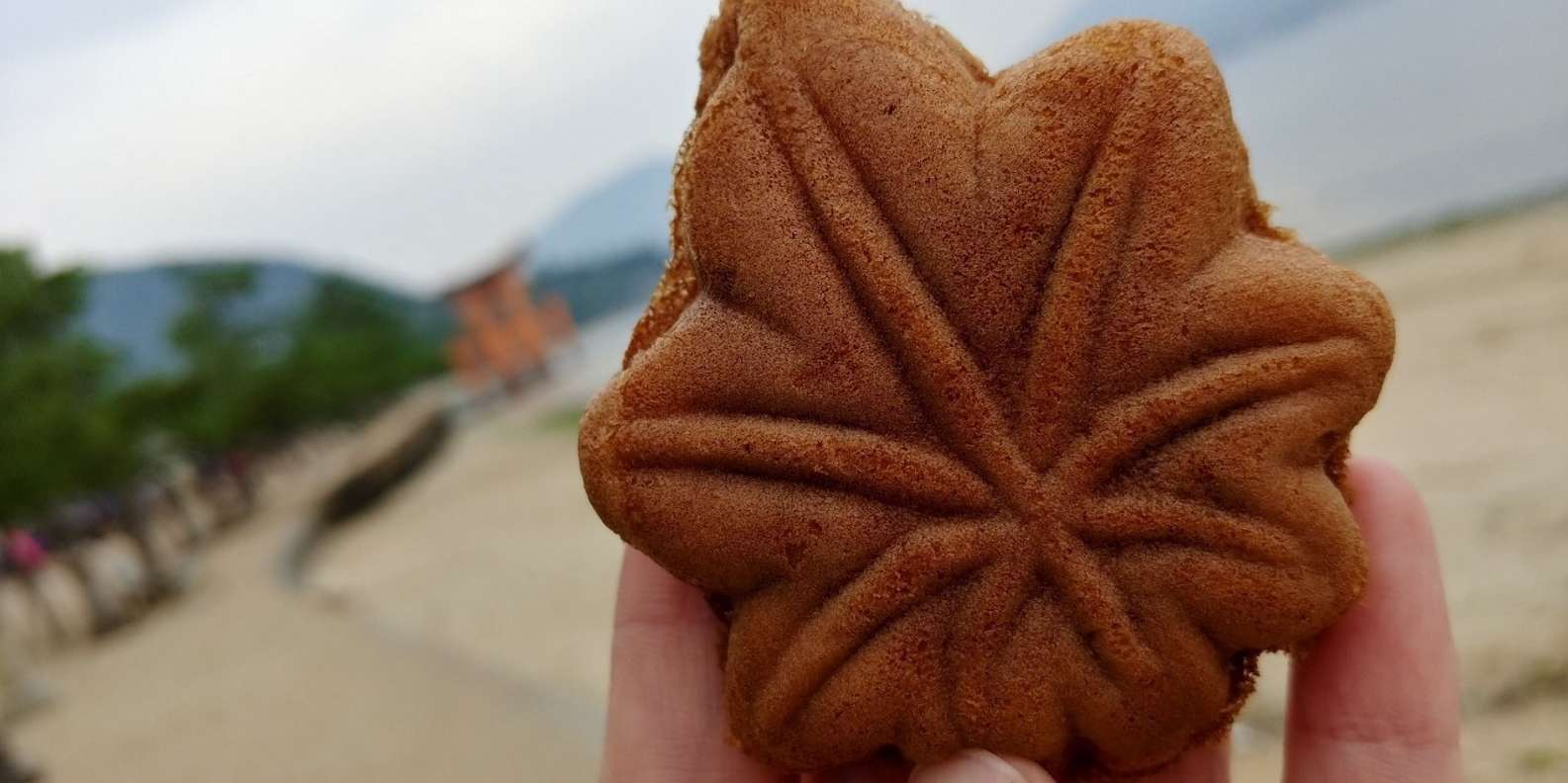Hiroshima Miyajima tour — Peace Memorial and Miyajima Island — image 49