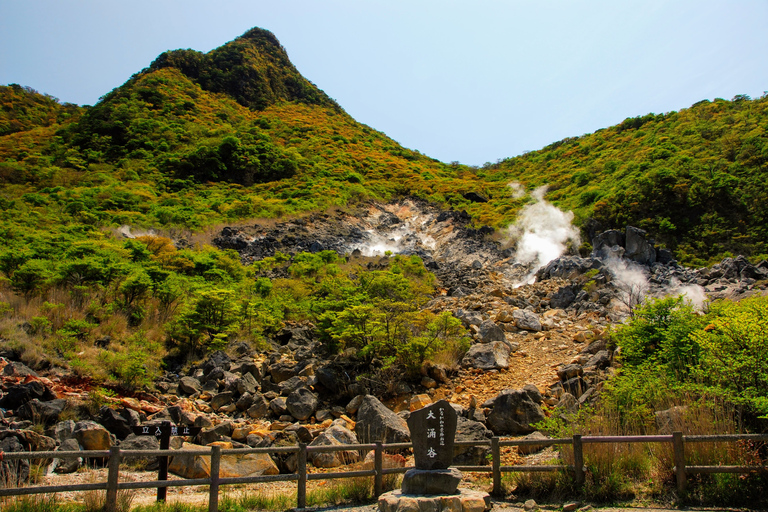 De Tokyo au Mont Fuji : excursion d'une journée et croisière à HakoneExcursion avec déjeuner depuis la statue LOVE, retour en car