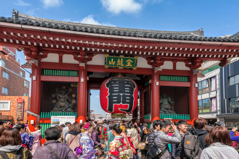 Tokyo: Tour panoramico in autobus di un giorno interoTour senza pranzo dalla scultura LOVE