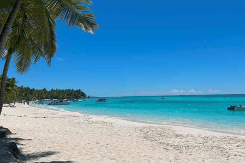 Private: Saona Island & Altos de Chavon Full Day Punta Cana.