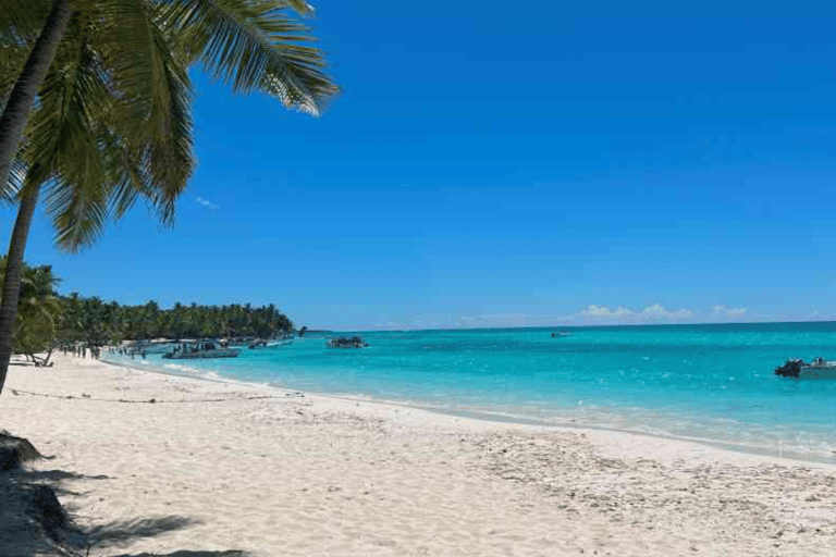 Private: Saona Island & Altos de Chavon Full Day Punta Cana.