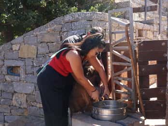 Creta: Excursión a la Vida de los Pastores y la Montaña Psiloritis con Comida