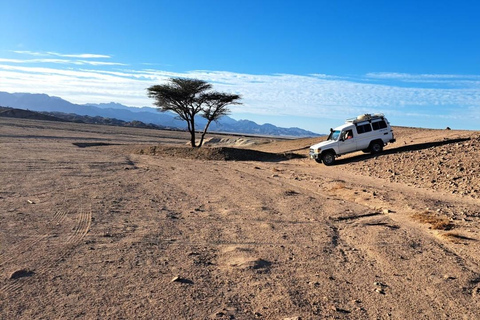 Hurghada: Star Watching Desert Adventure by Jeep with Dinner
