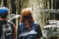 Melbourne, 12 Apostles, Great Otways and Great Ocean Road - Housity