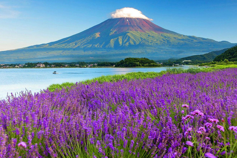 Mt Fuji 8 Spots Customizable Sightseeing Day Tour with Guide Mt Fuji 8 Spots Customizable Sightseeing Day Tour with Guide