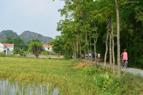 Ninh Binh: Hoa Lu, jaskinia Am Tien, Tam Coc i Bich Dong