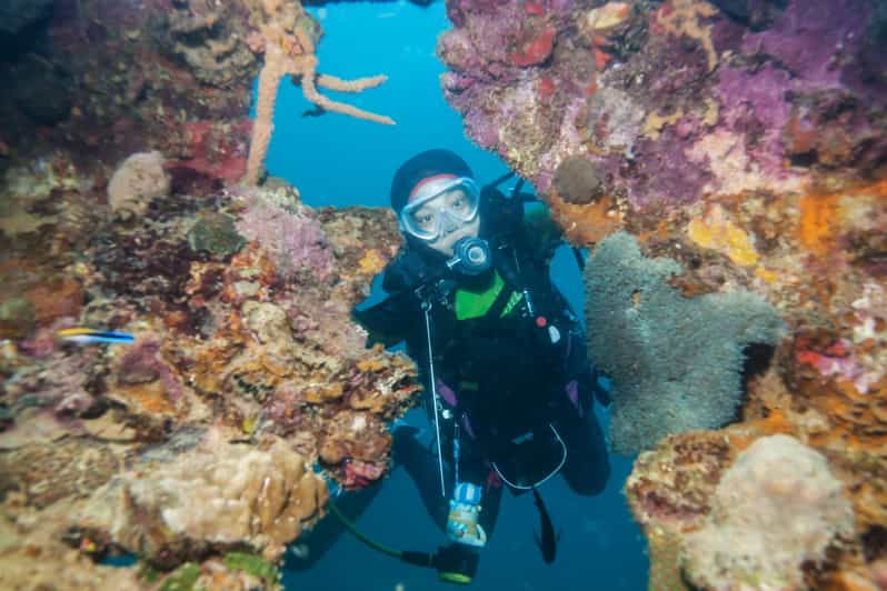 Belek Scuba Diving in the Mediterranean Sea GetYourGuide