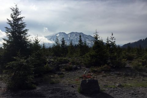 Portland: The Mt. St. Helens Adventure Tour