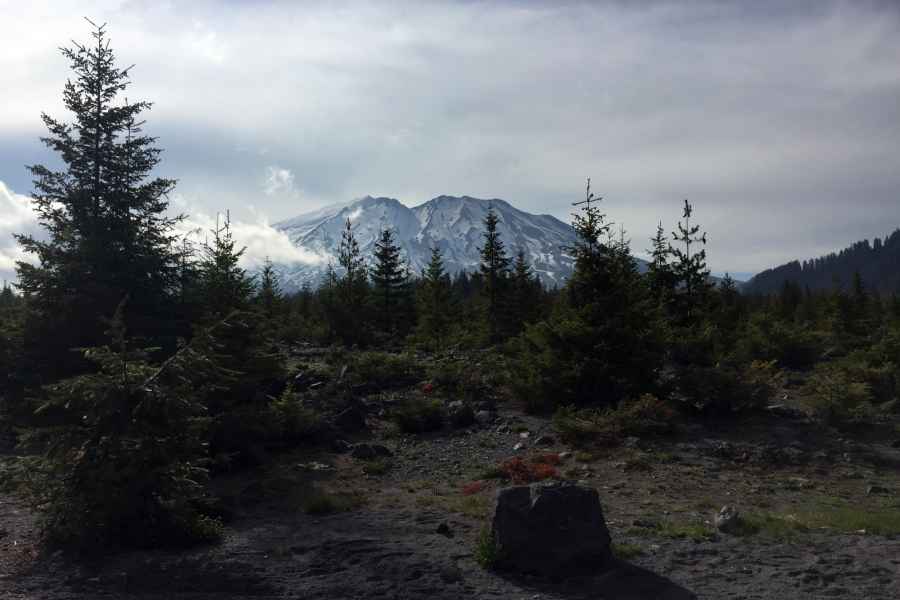Portland: Die Mt. St. Helens Adventure Tour. Foto: GetYourGuide