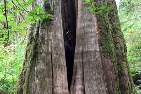 Portland: The Mt. St. Helens Adventure Tour