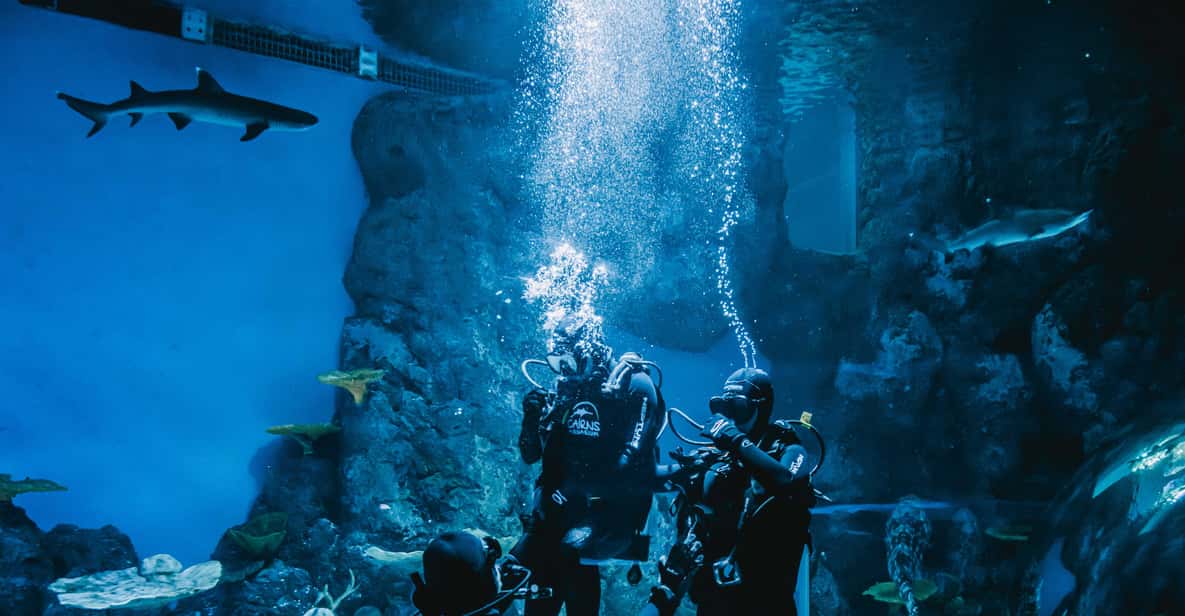 Cairns: Aquarium Reef Tank Diving Experience
