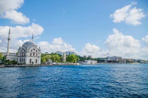 Estambul: crucero de día completo por el Bósforo y tour de comprasEstambul: Todo el día Crucero por el Bósforo y el Tour de compras