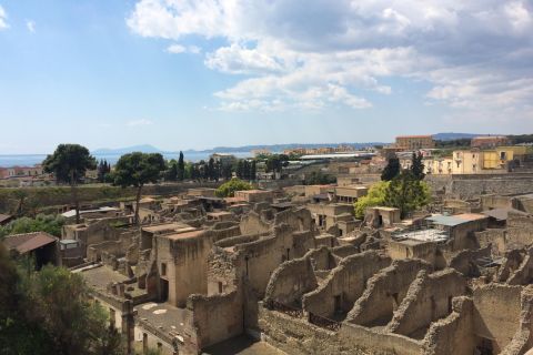 Pompeii & Herculaneum Private Skip-the-Line Tour with Ticket