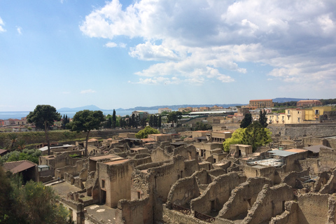 Pompeii & Herculaneum Private Skip-the-Line Tour with Ticket