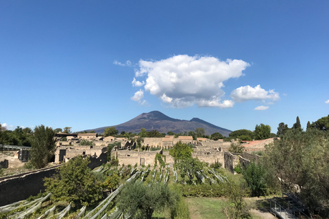 Pompeii & Herculaneum Privé Skip-the-Line Tour met ticket